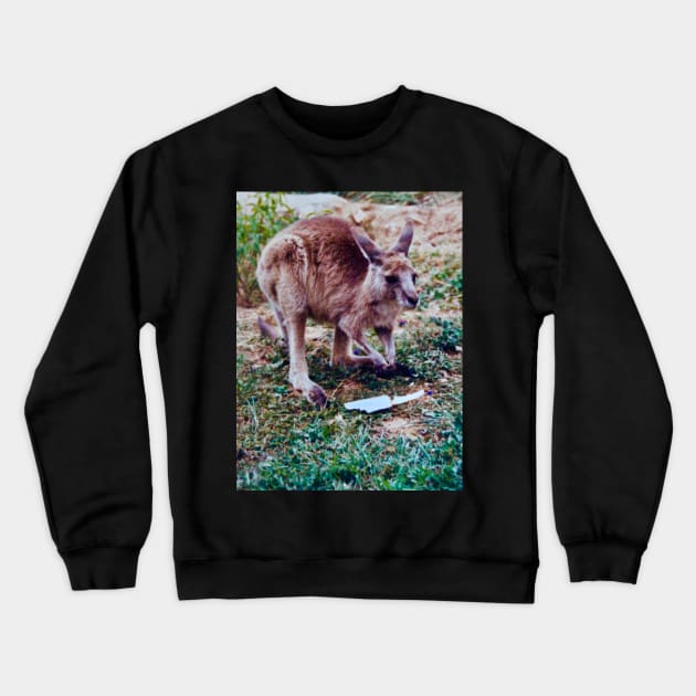 The Joey Crewneck Sweatshirt by Mickangelhere1